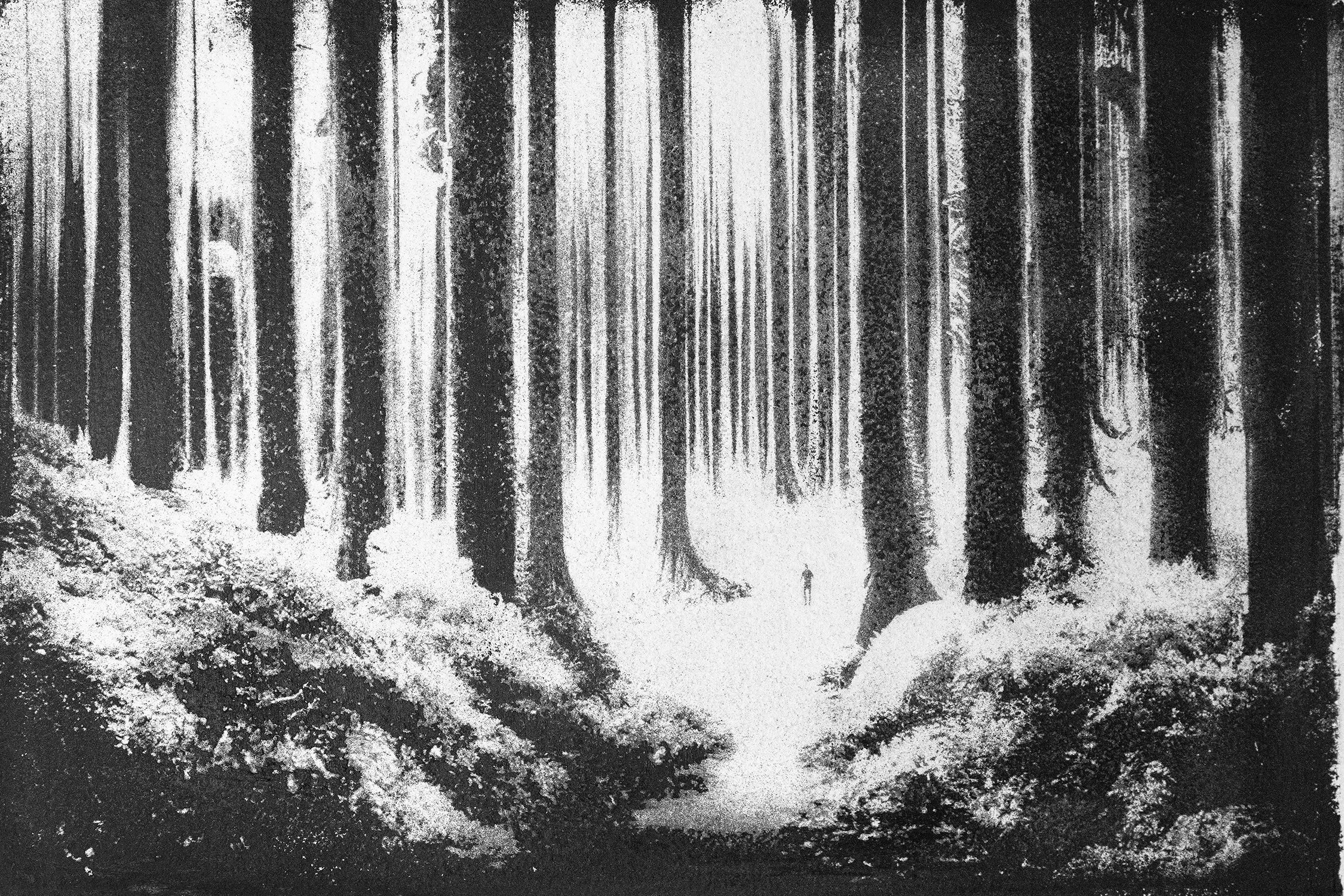 Online Group Exhibition - “Wild” - Spring 2025 | Analog Forever